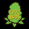 logo croc buds